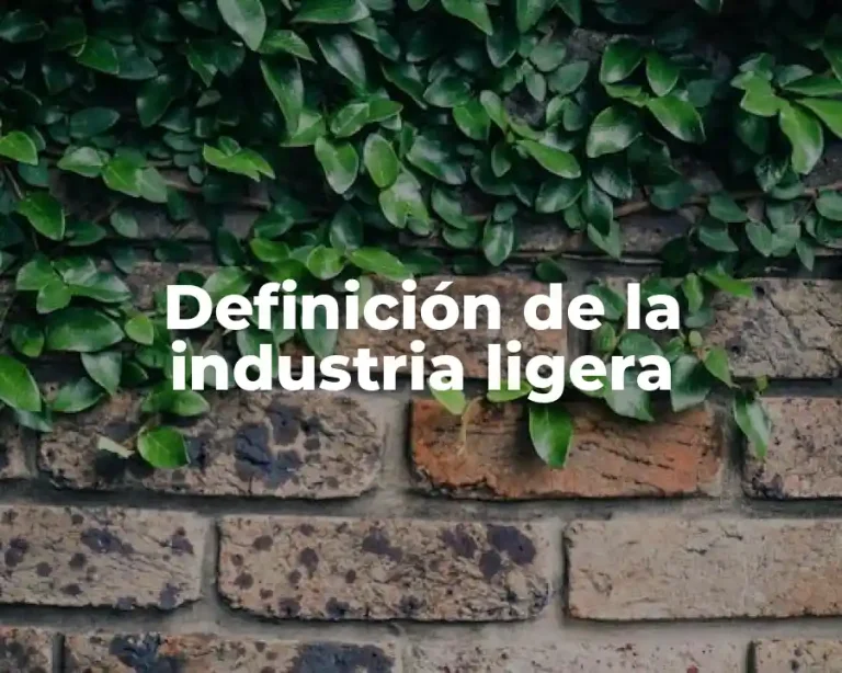 Definición de la industria ligera