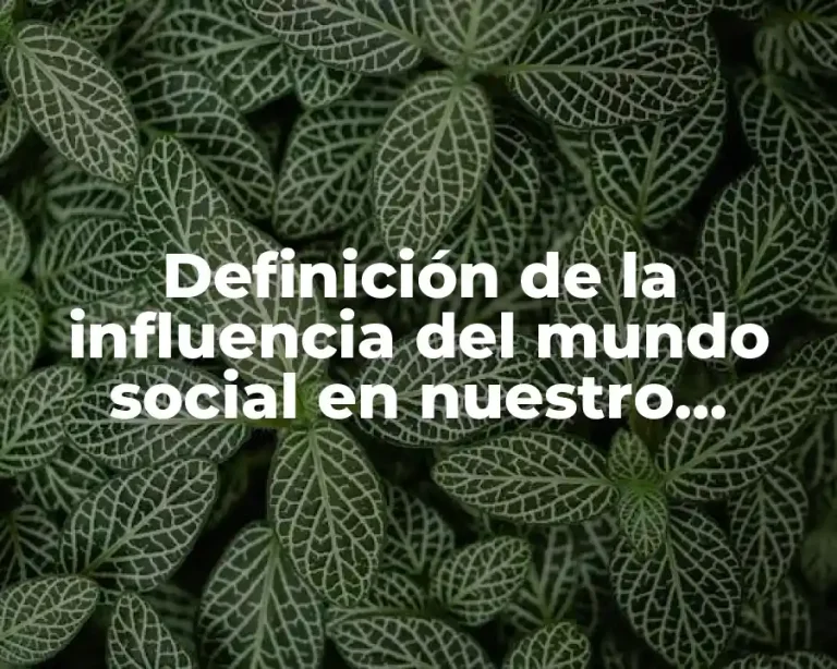 Definición de la influencia del mundo social en nuestro cerebro