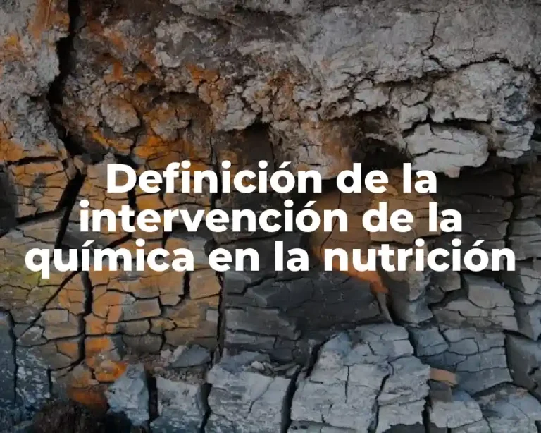 Definición de la intervención de la química en la nutrición