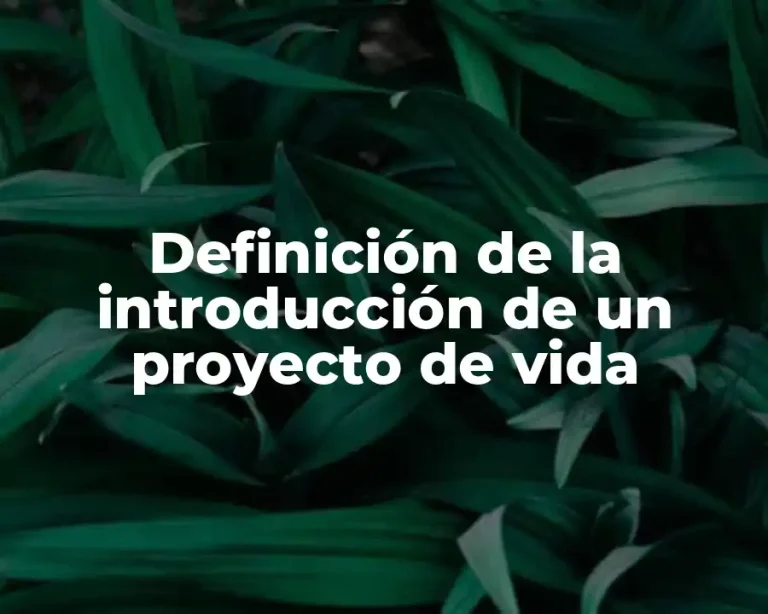 Definición de la introducción de un proyecto de vida