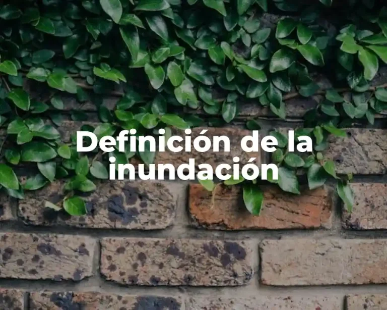 Definición de la inundación