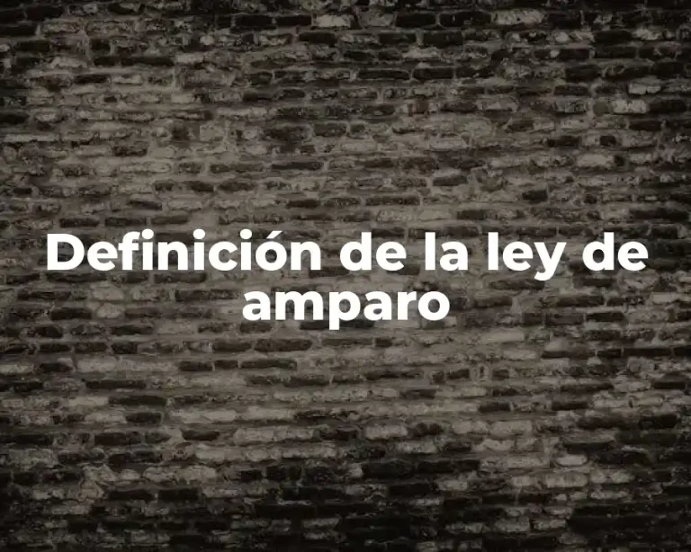 Definición de la ley de amparo