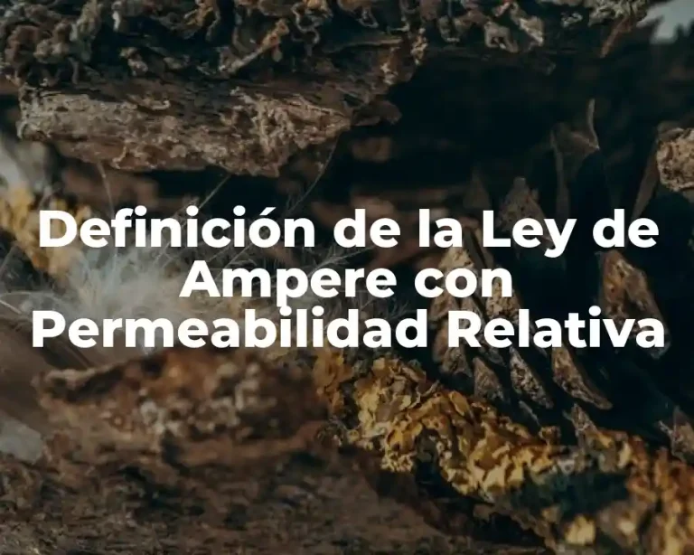 Definición de la Ley de Ampere con Permeabilidad Relativa