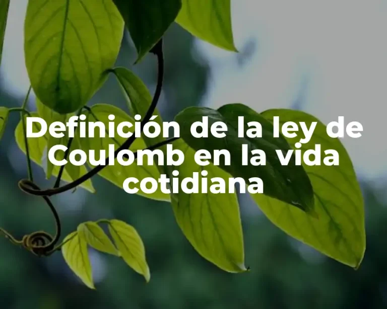 Definición de la ley de Coulomb en la vida cotidiana