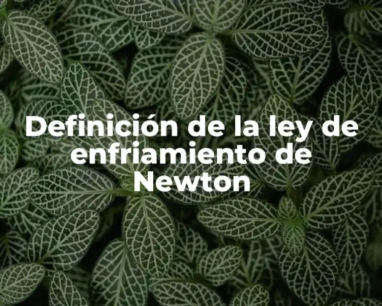 Definición de la ley de enfriamiento de Newton