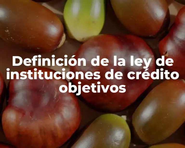 Definición de la ley de instituciones de crédito objetivos