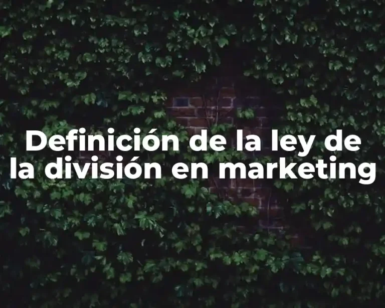 Definición de la ley de la división en marketing