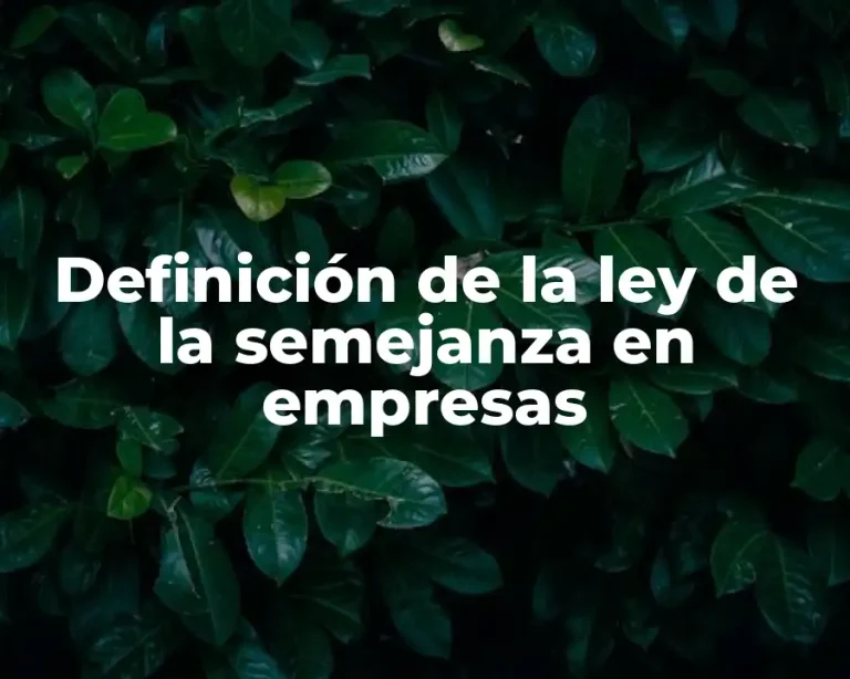 Definición de la ley de la semejanza en empresas