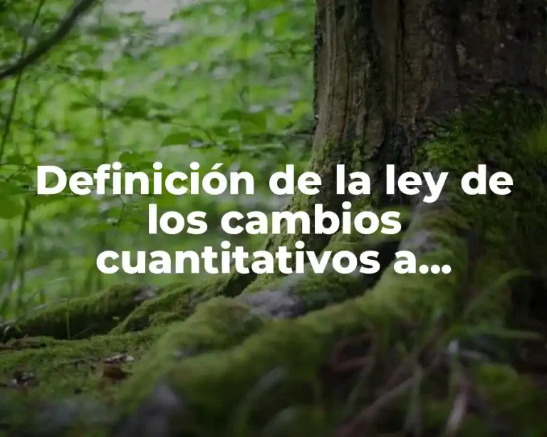 Definición de la ley de los cambios cuantitativos a cualitativos