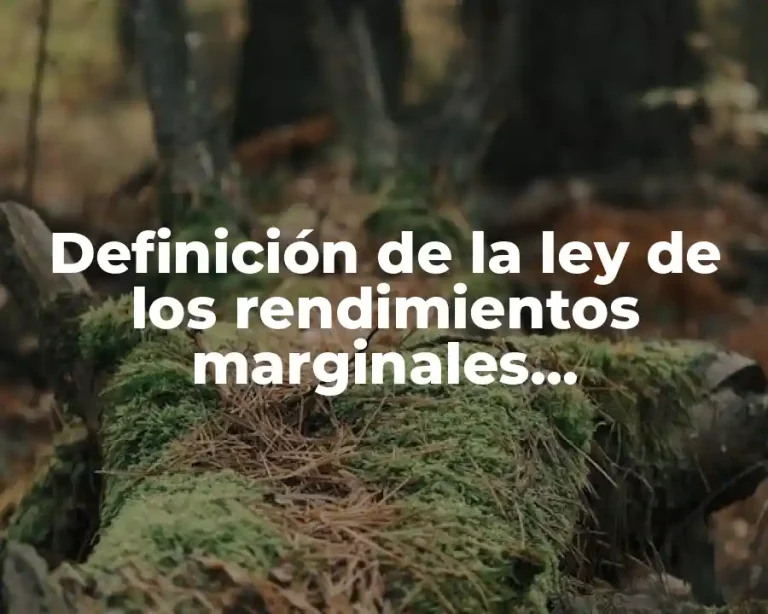 Definición de la ley de los rendimientos marginales decrecientes