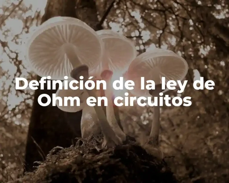 Definición de la ley de Ohm en circuitos