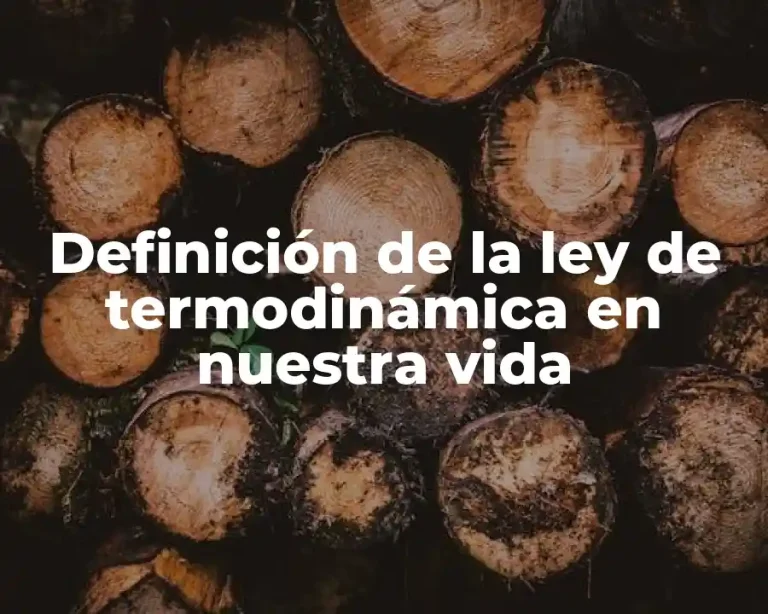 Definición de la ley de termodinámica en nuestra vida