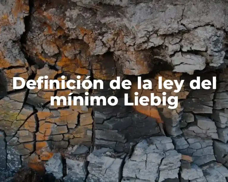 Definición de la ley del mínimo Liebig