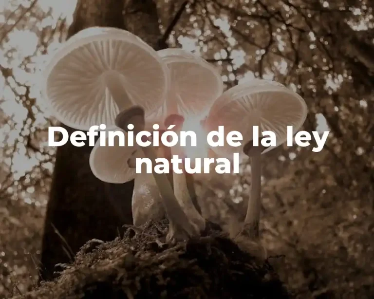 Definición de la ley natural