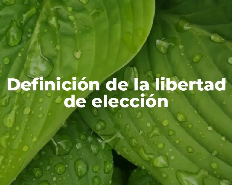Definición de la libertad de elección