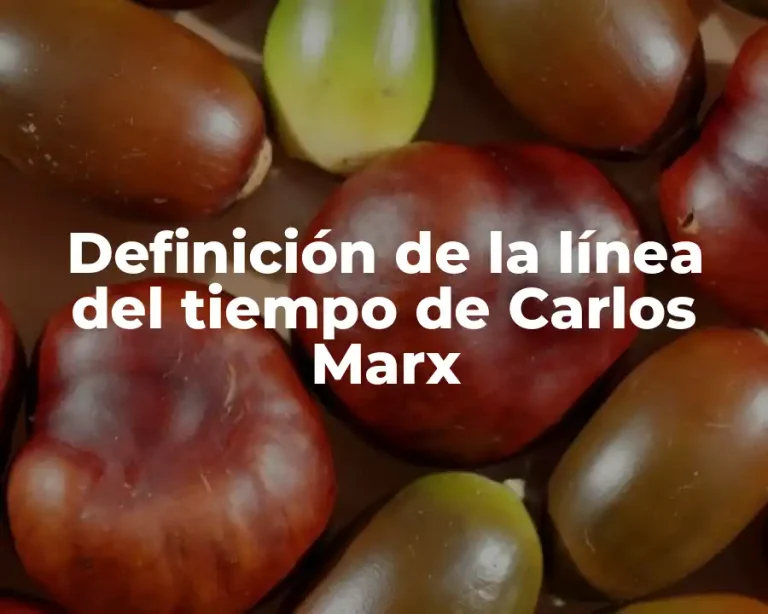 Definición de la línea del tiempo de Carlos Marx