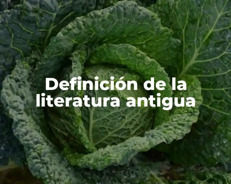Definición de la literatura antigua