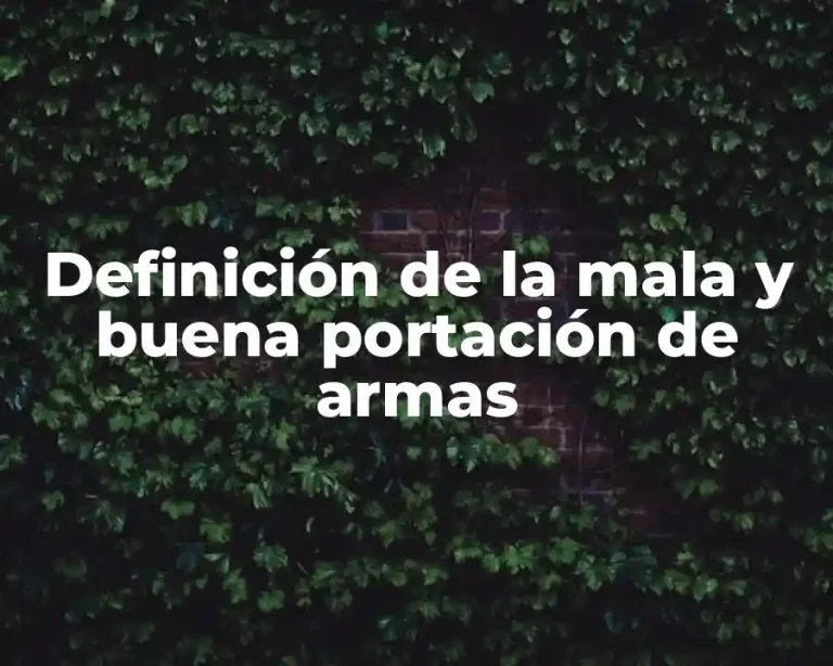 Definición de la mala y buena portación de armas