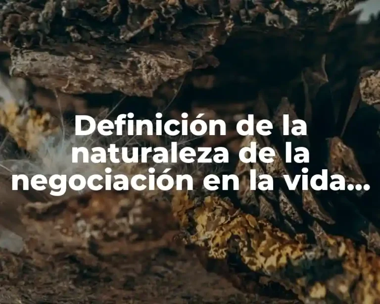 Definición de la naturaleza de la negociación en la vida real