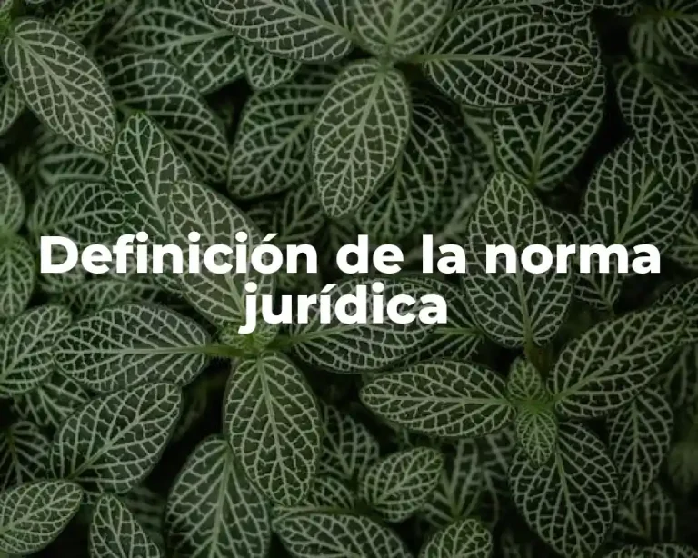 Definición de la norma jurídica
