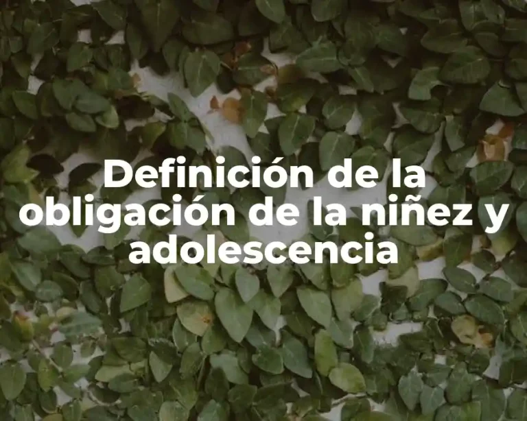 Definición de la obligación de la niñez y adolescencia