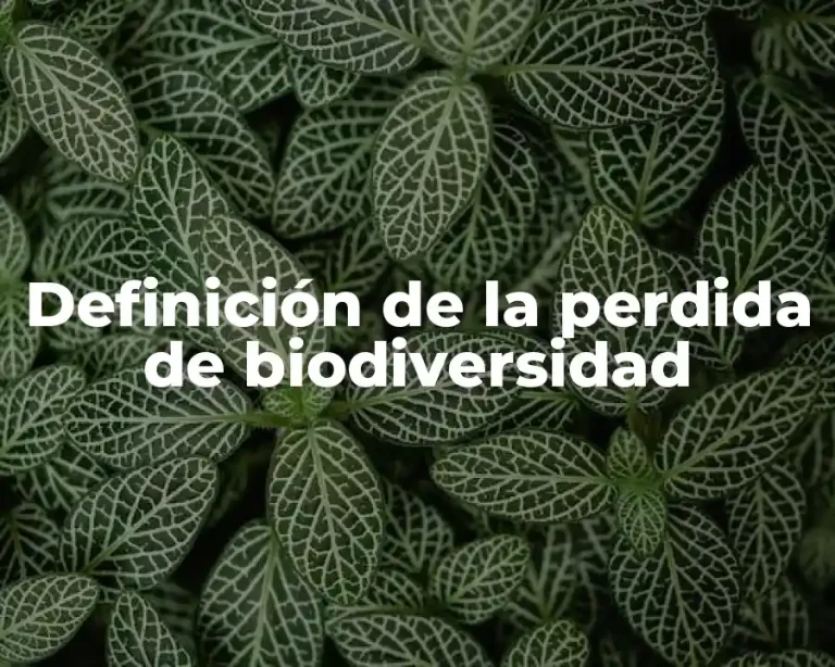 Definición de la perdida de biodiversidad
