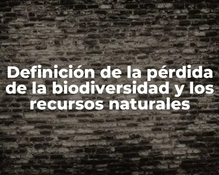 Definición de la pérdida de la biodiversidad y los recursos naturales