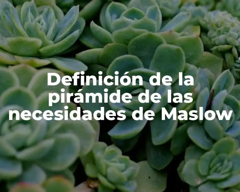 Definición de la pirámide de las necesidades de Maslow