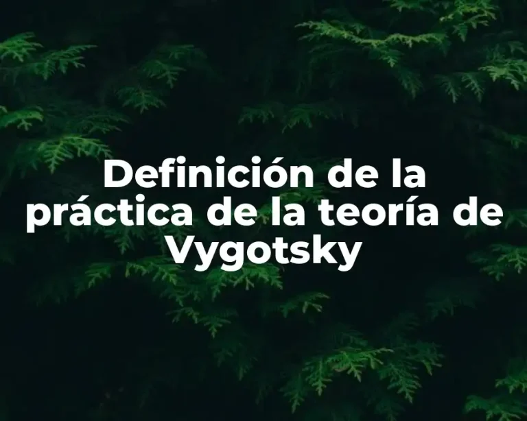 Definición de la práctica de la teoría de Vygotsky