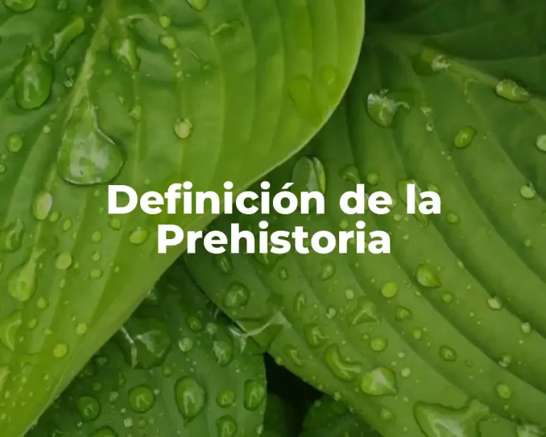 Definición de la Prehistoria