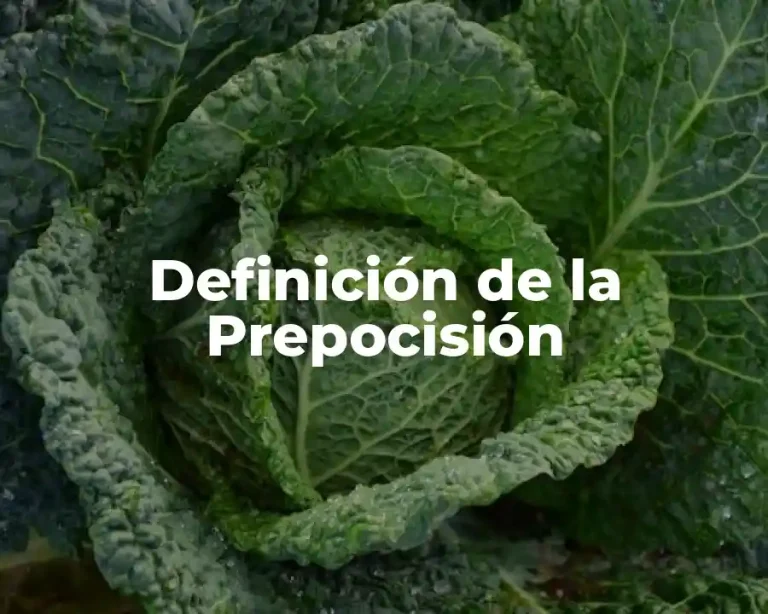 Definición de la Prepocisión