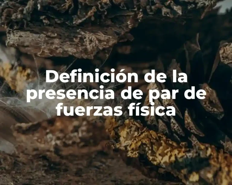Definición de la presencia de par de fuerzas física