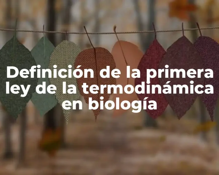 Definición de la primera ley de la termodinámica en biología