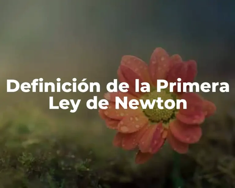 Definición de la Primera Ley de Newton
