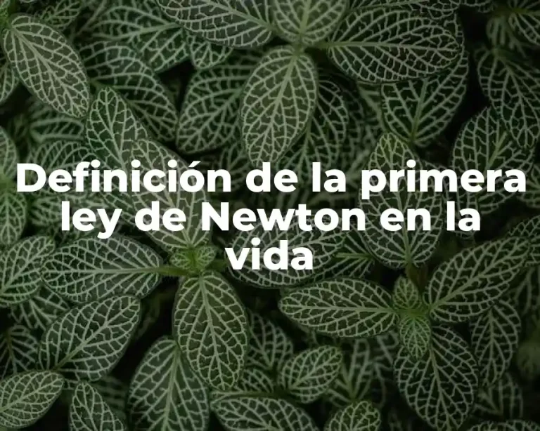 Definición de la primera ley de Newton en la vida