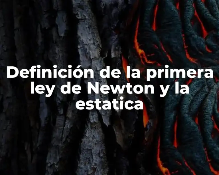 Definición de la primera ley de Newton y la estatica