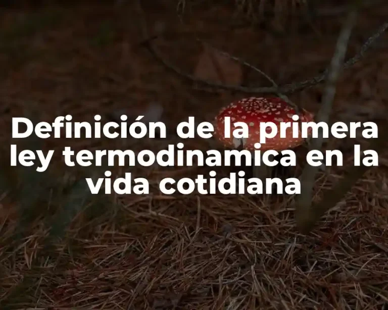 Definición de la primera ley termodinamica en la vida cotidiana