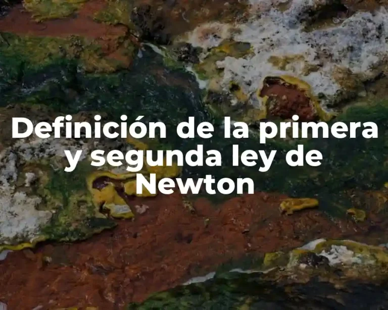 Definición de la primera y segunda ley de Newton