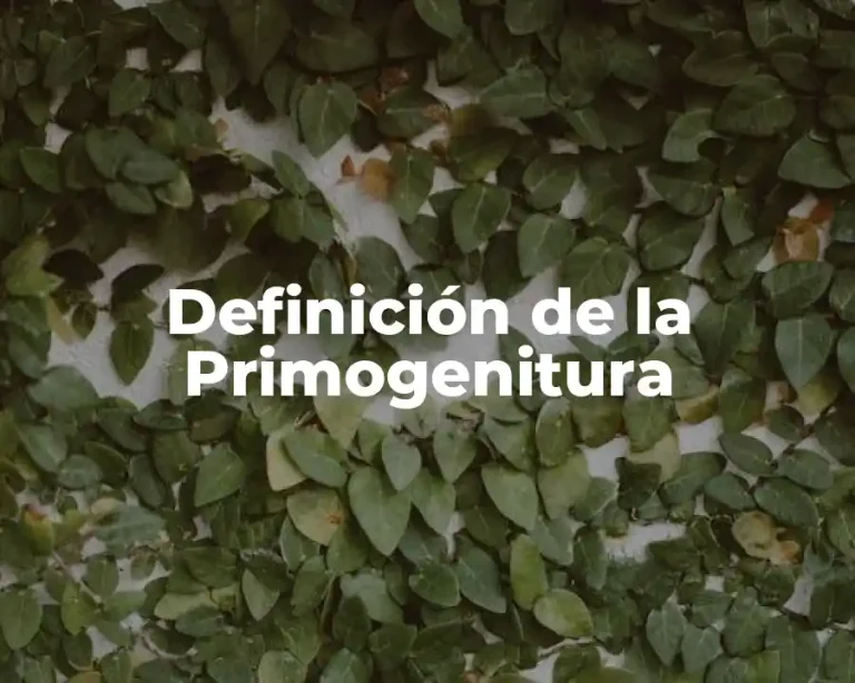 Definición de la Primogenitura