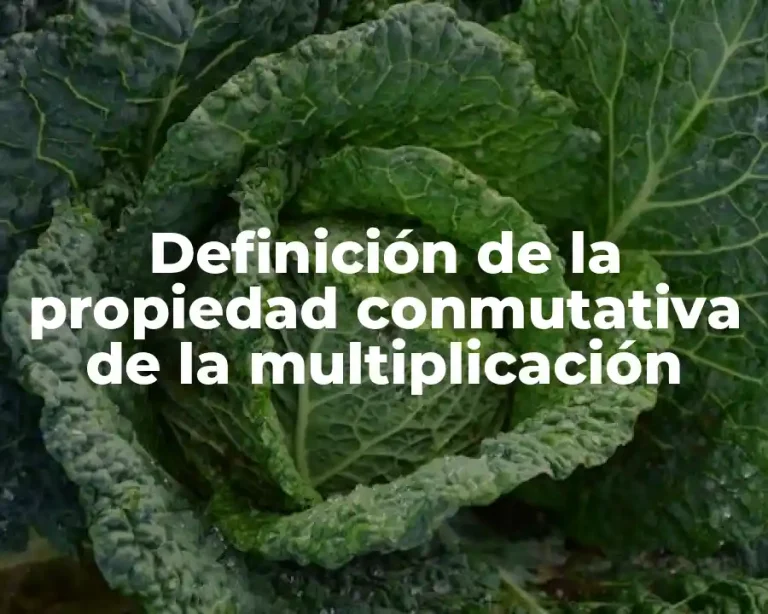 Definición de la propiedad conmutativa de la multiplicación