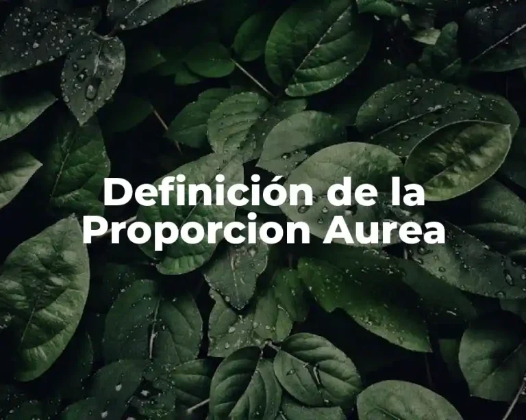 Definición de la Proporcion Aurea