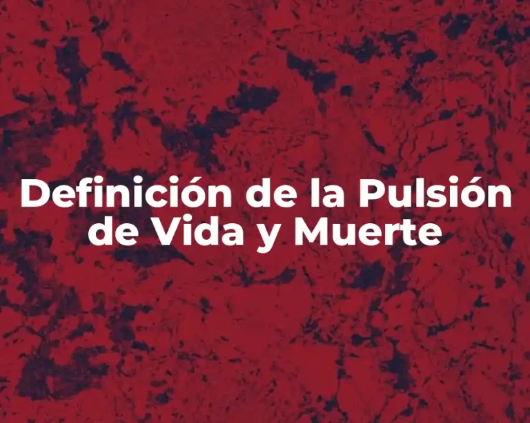 Definición de la Pulsión de Vida y Muerte