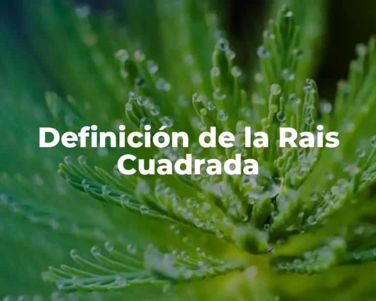 Definición de la Rais Cuadrada