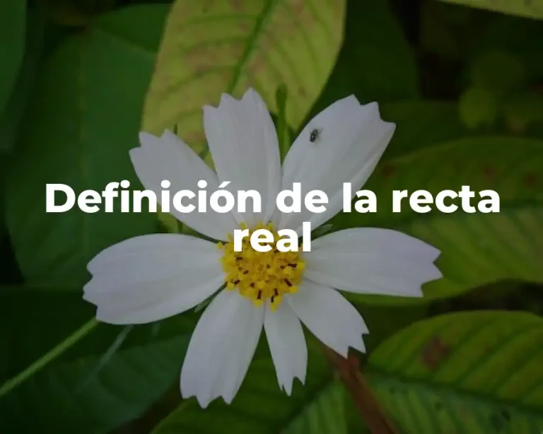 Definición de la recta real