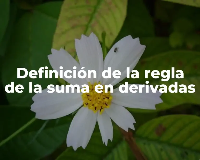 Definición de la regla de la suma en derivadas