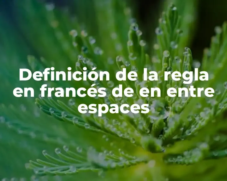 Definición de la regla en francés de en entre espaces