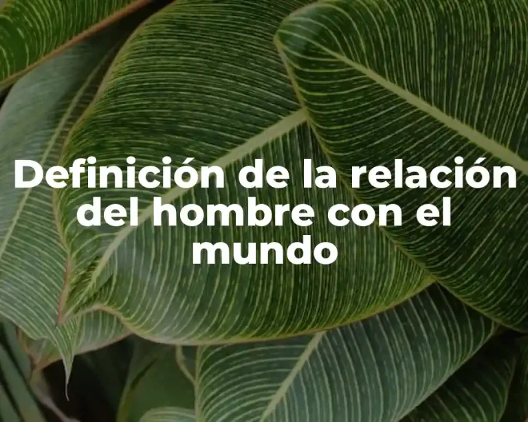 Definición de la relación del hombre con el mundo