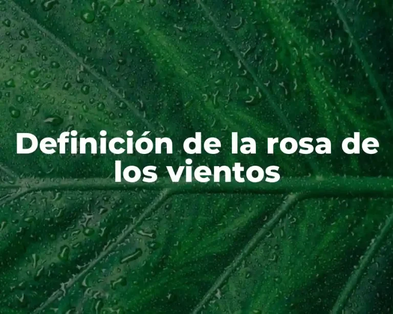 Definición de la rosa de los vientos