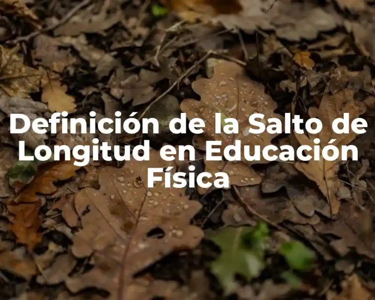 Definición de la Salto de Longitud en Educación Física