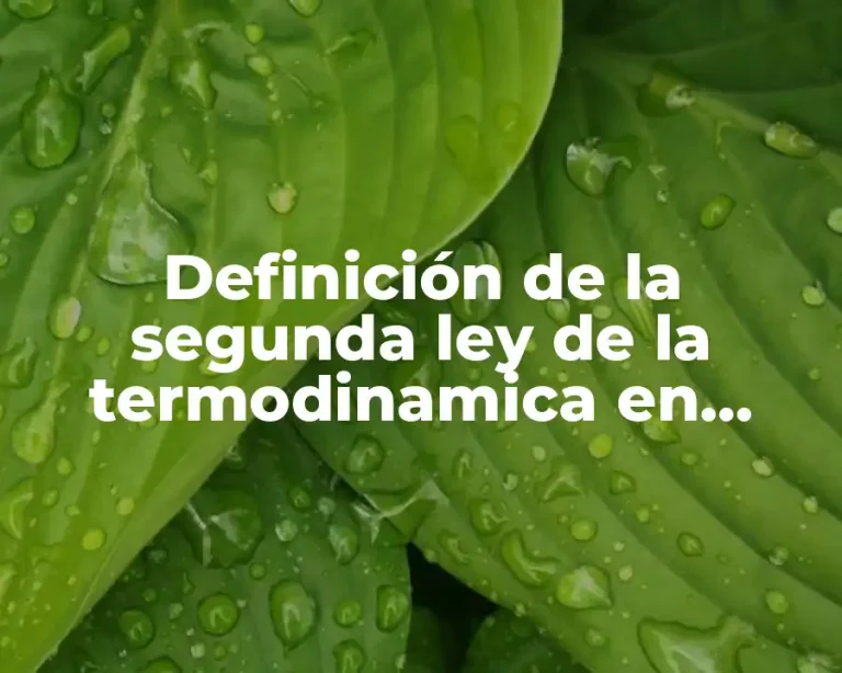 Definición de la segunda ley de la termodinamica en biología